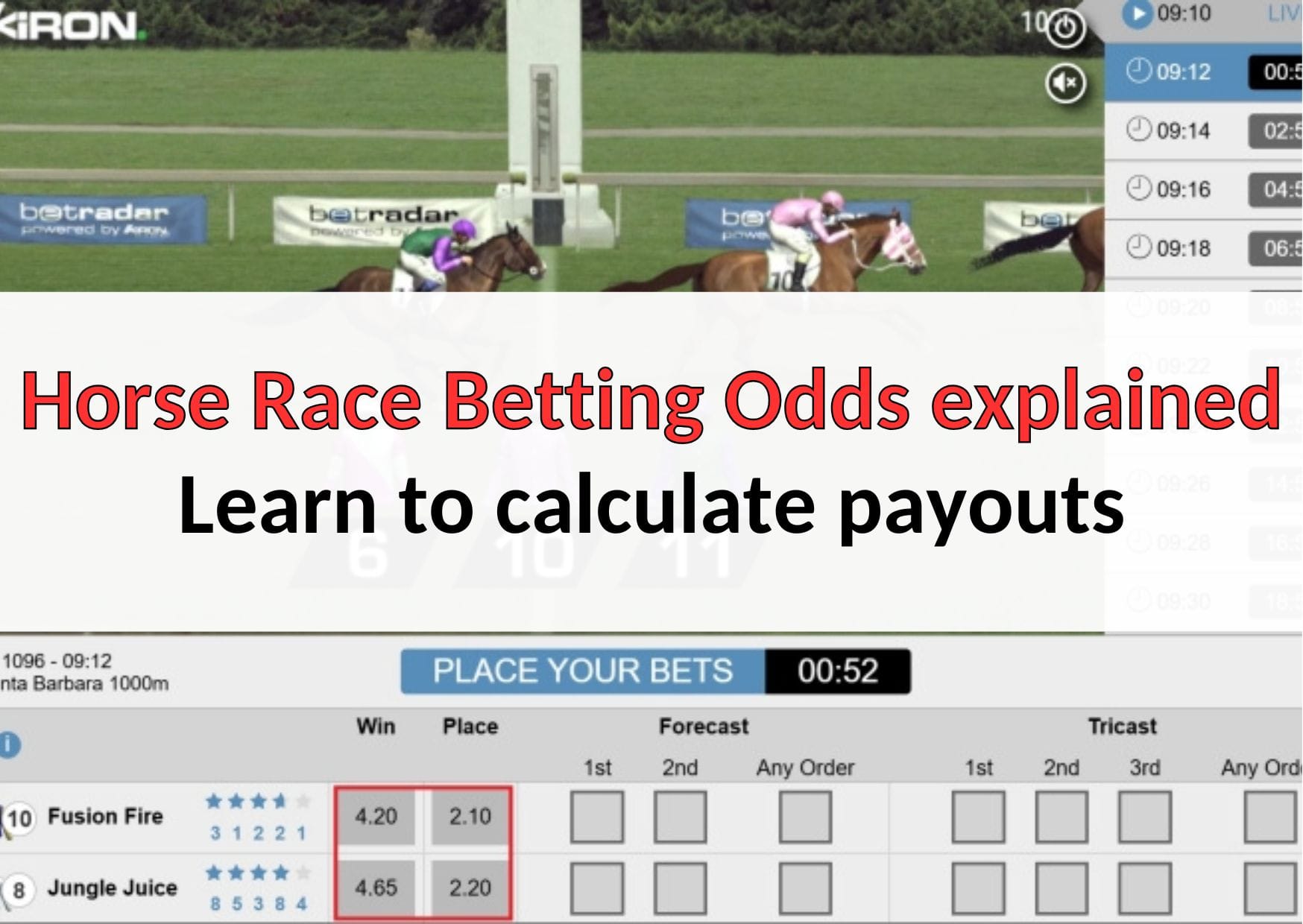 การ แข่ง ม้า